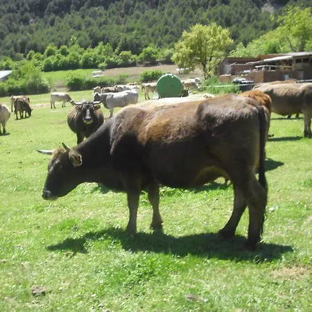 Perico Casa rural Fiscal